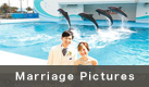Marriage Pictures